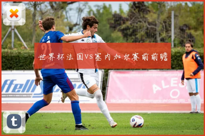 世界杯法国vs塞内加尔赛前前瞻