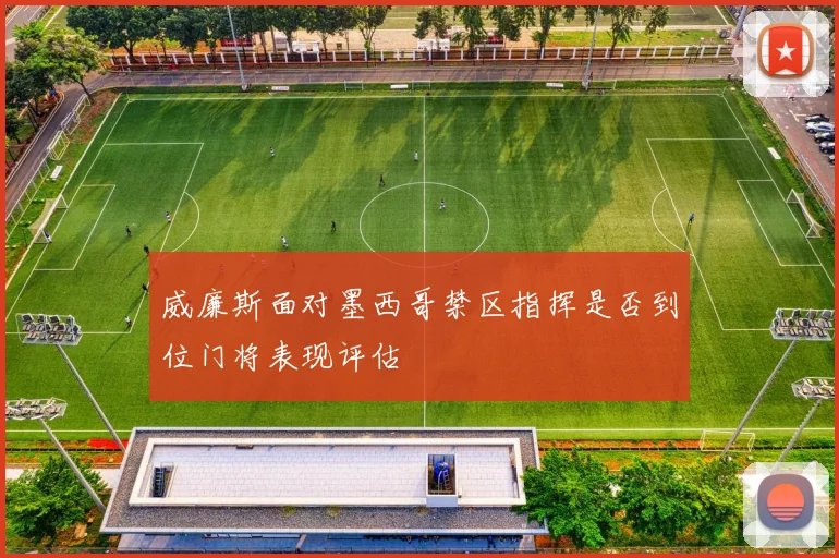 威廉斯面对墨西哥禁区指挥是否到位门将表现评估