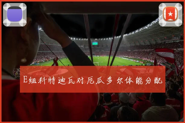 E组科特迪瓦对厄瓜多尔体能分配